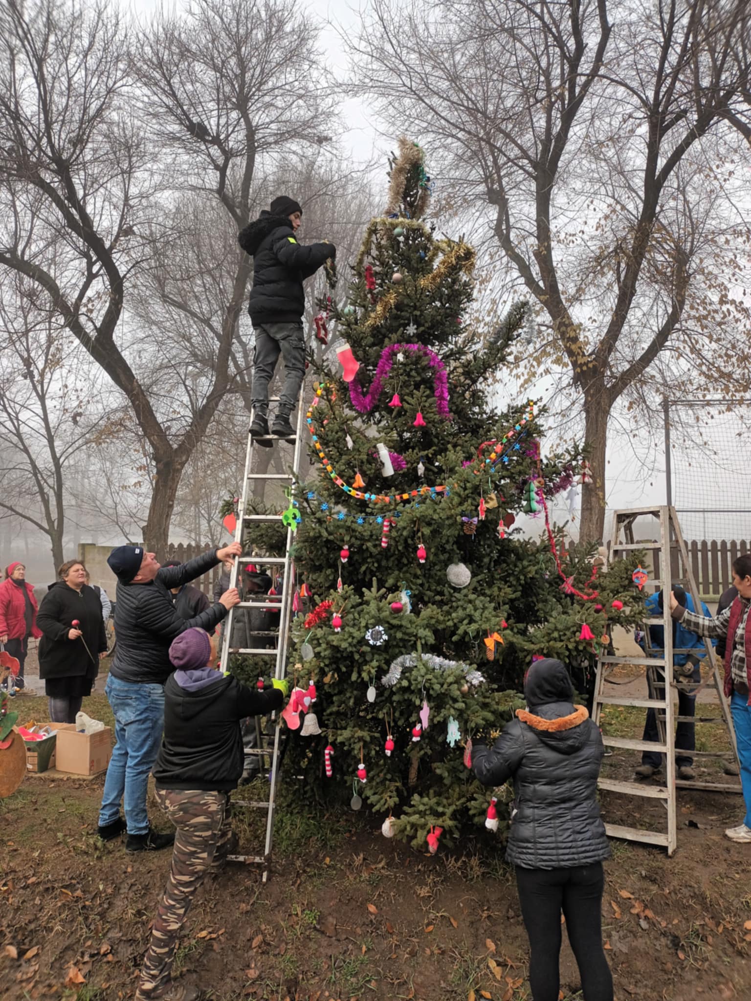Almáskamarás település számára fontos a hagyományok megőrzése. A karácsonyi időszak is ilyen. Idén is a lakosság, gyermekek és felnőttek egyaránt a vezetőséggel együtt díszítették fel a falu szeretett karácsonyfáját.  A település központjában található, Szent István utca és a Dózsa György utca kereszteződésében.