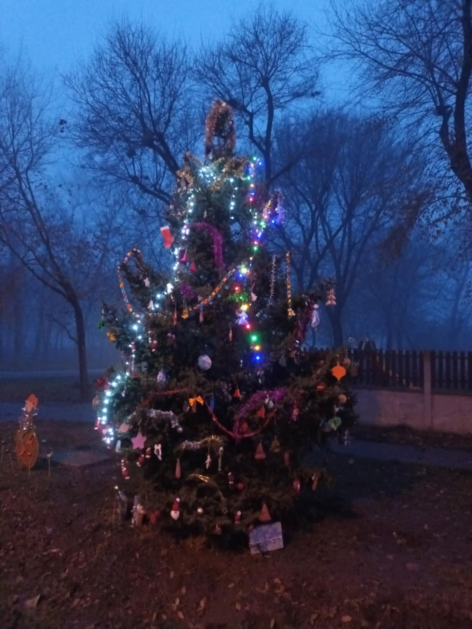 Almáskamarás település számára fontos a hagyományok megőrzése. A karácsonyi időszak is ilyen. Idén is a lakosság, gyermekek és felnőttek egyaránt a vezetőséggel együtt díszítették fel a falu szeretett karácsonyfáját.  A település központjában található, Szent István utca és a Dózsa György utca kereszteződésében.