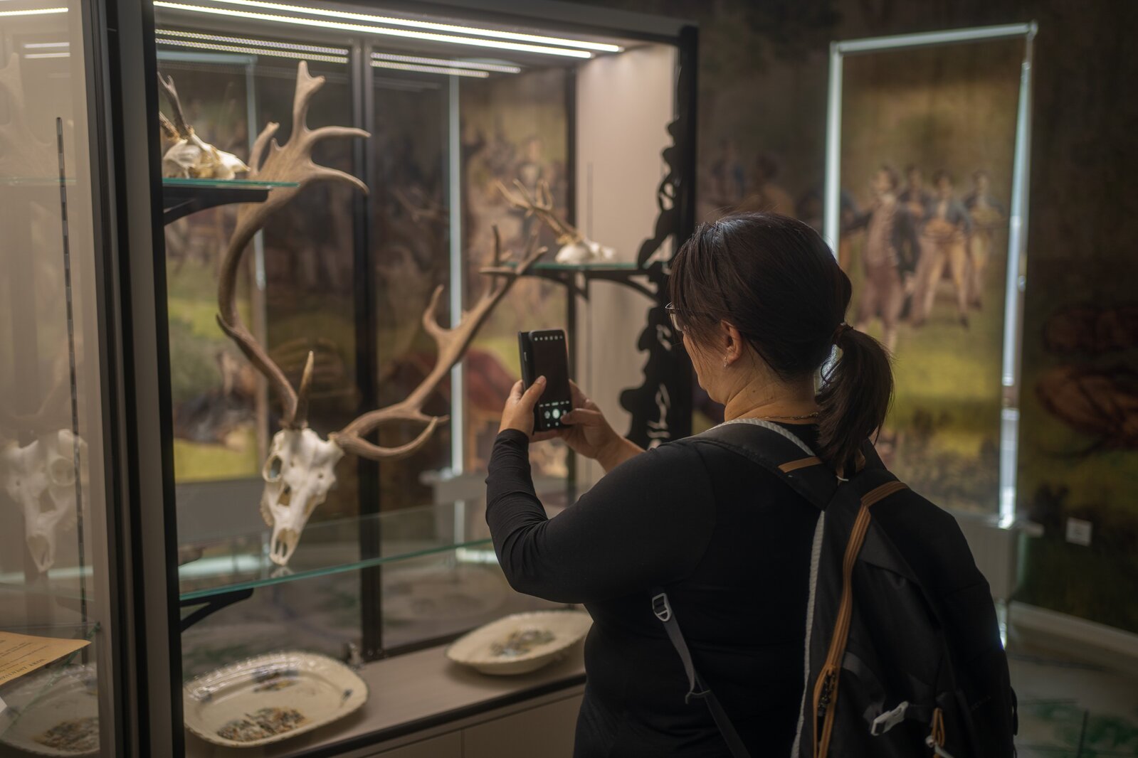 The History of Hunting and Presentation of Local Wildlife