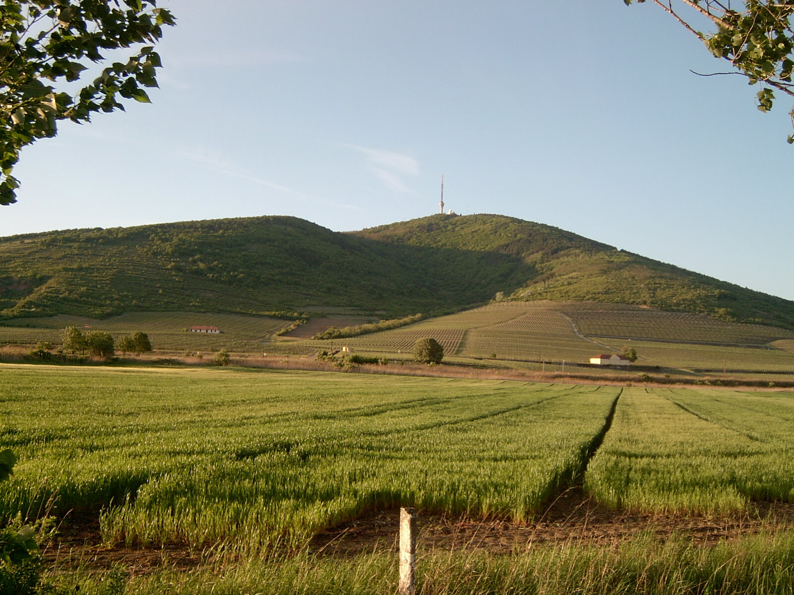 Extrém Tokaj-hegyi MTB körtúra