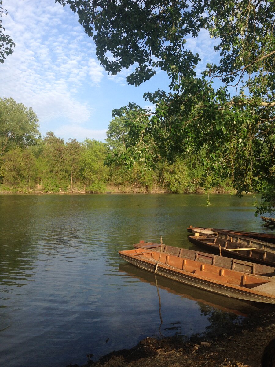 Practical Tips for Exploring the Bodrog