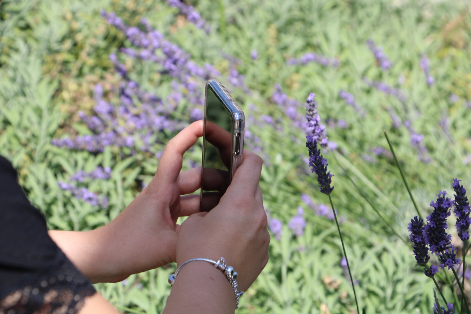 AI és adatvezérelt turizmus: a személyre szabás „fenntarthatósági motorja” lehet