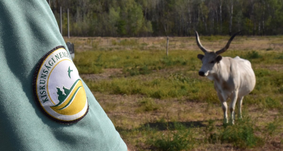 Kiskunsági Nemzeti Park Igazgatóság