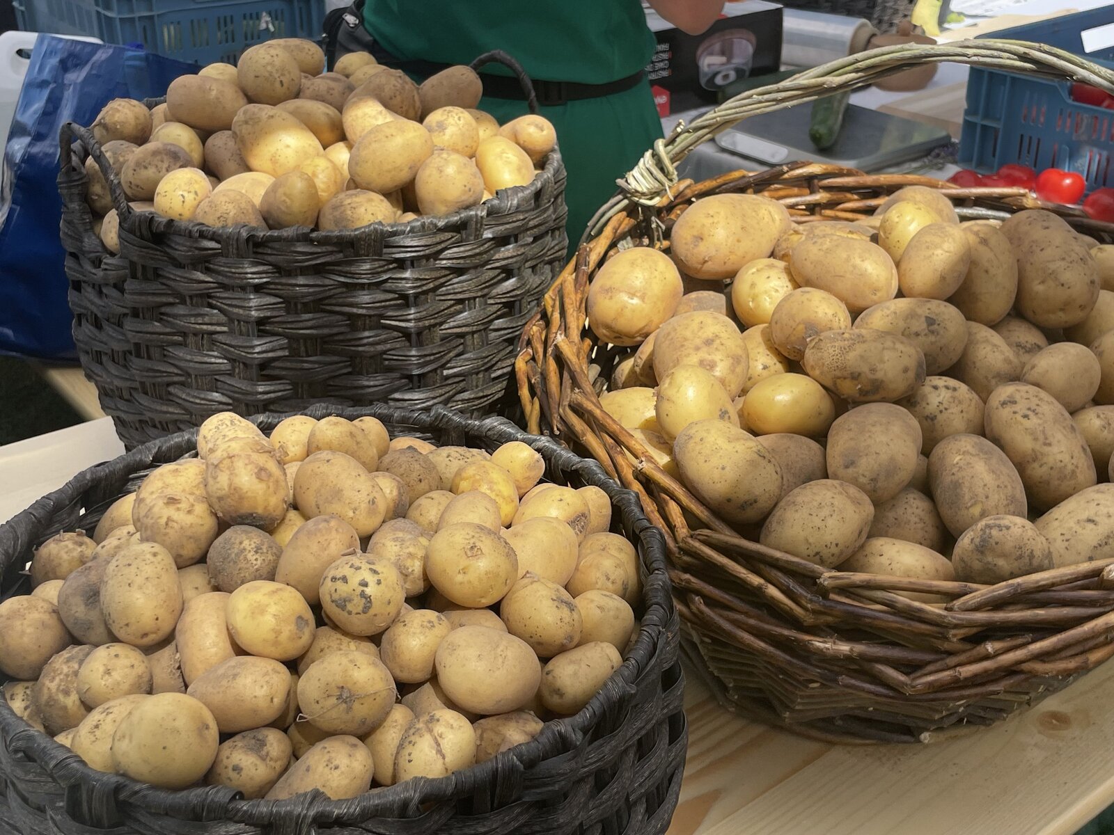 Harc az élelmiszer-uralom ellen: A sokszínűség mint pajzs