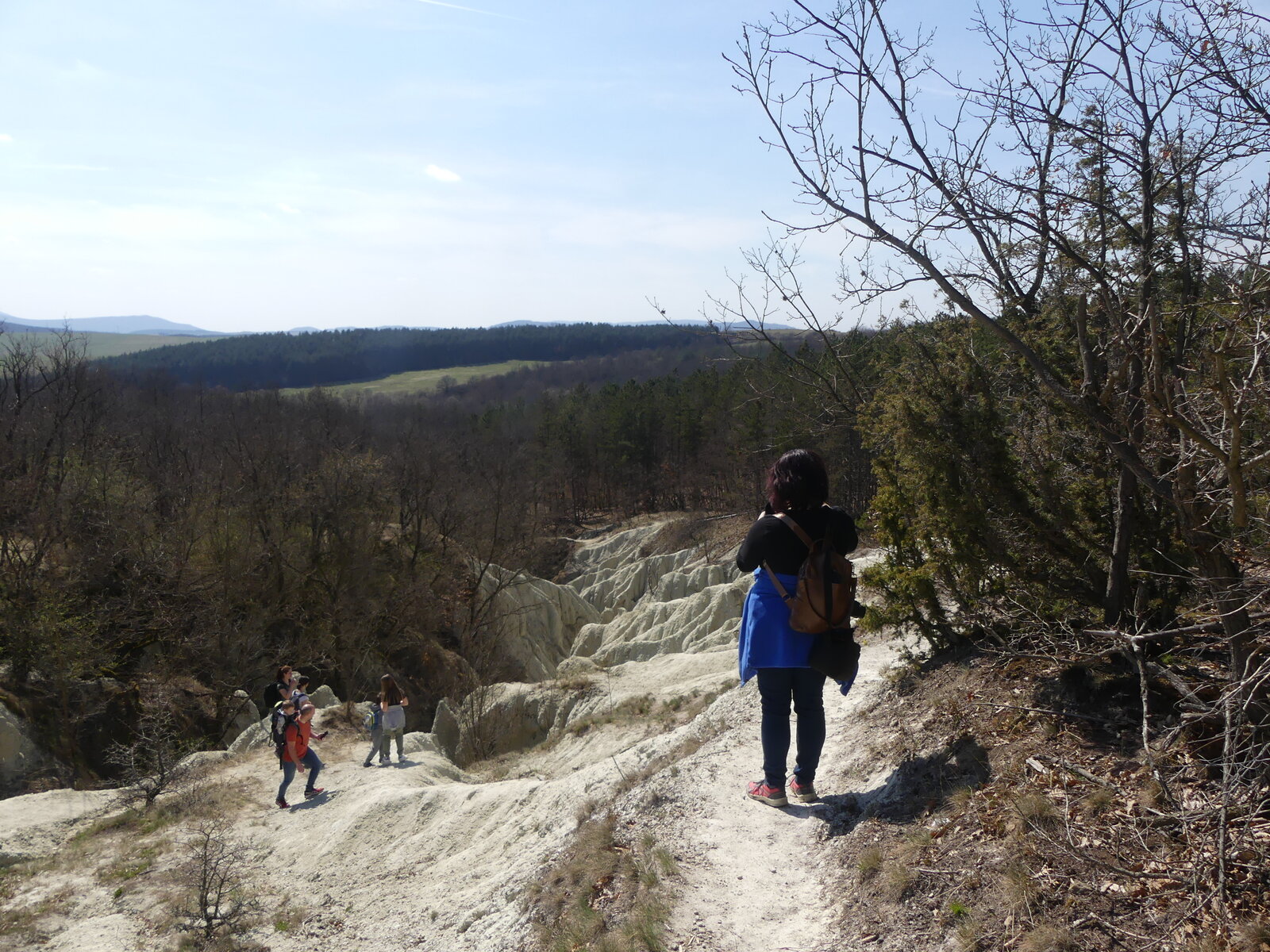 Mit vizsgált a kutatás?