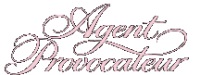 Agent Provocateur