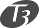 T3 Micro