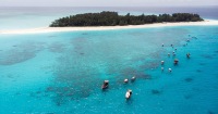 桑給巴爾姆內姆巴島半日海豚浮潛探險之旅