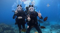 台東體驗潛水水肺潛水2小時【綠島體驗潛水之旅|含1對1專業教練、裝備、保險、水下照片】