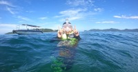 亞庇浮潛跳島遊船之旅（可選滑翔傘）