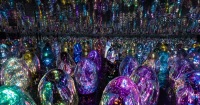 teamLab Phenomena 阿布扎比門票