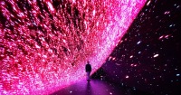 X Space 沉浸式 - 河內數碼藝術體驗門票