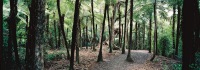 半日荒野體驗自然之旅