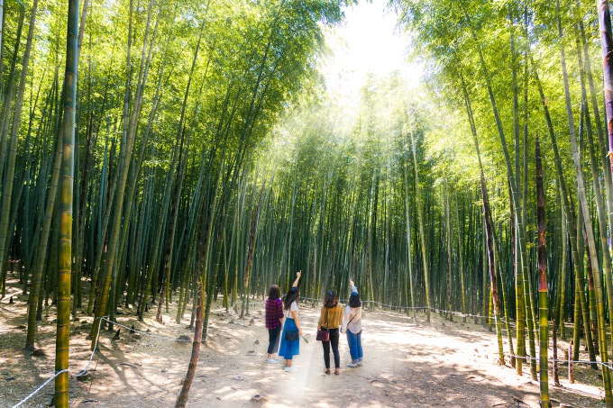釜山小團攝影之旅，含酒店接送
