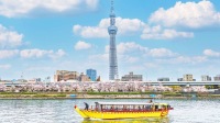 日本東京市區及周邊包車一日遊：酒店接送/正規綠牌/中英文司機