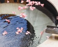 新北｜烏來泉世界溫泉會館｜溫泉湯屋&湯房泡湯券