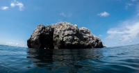 帕岸島船帆石（Sail Rock）潛水體驗（PADI五星級潛水中心）