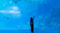 珠海Trip Moments【珠海長隆跟拍旅拍+底片全送+精修+包含攝影師門票】
