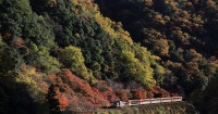 嵐山之旅（可選嵯峨野小火車體驗）