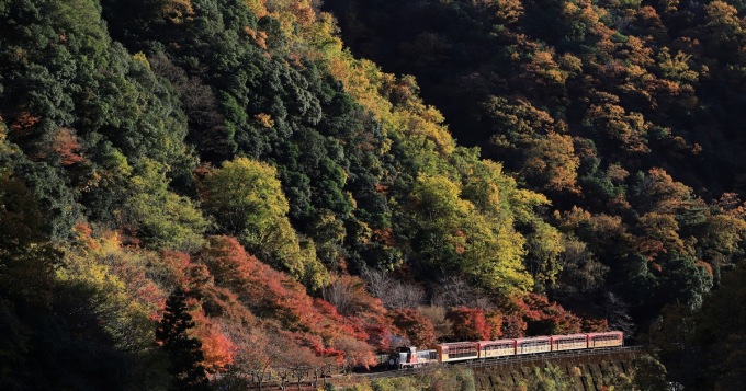 嵐山之旅（可選嵯峨野小火車體驗）