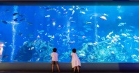名古屋伊勢神宮及鳥羽水族館夫婦岩全日遊