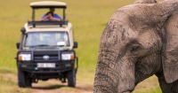 阿奎拉私人野生動物保護區全日五大動物狩獵之旅
