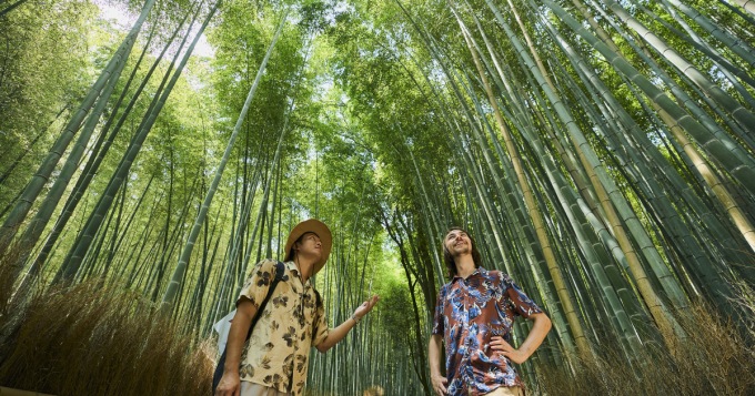 京都世界遺產與自然漫步之旅