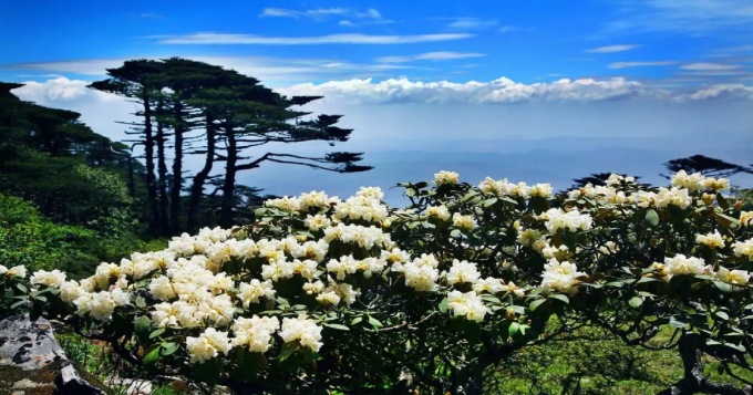蒼山洗馬潭索道