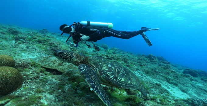 熊潛水Bear Diving - 小琉球岸潛旅遊潛水（需潛水執照）