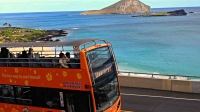 美國·夏威夷·檀香山·歐胡島|威基基無軌電車隨上隨下巴士之旅-Waikiki Trolley Hop-on Hop-off Bus Tour