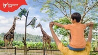 新加坡動物園門票(含電車)