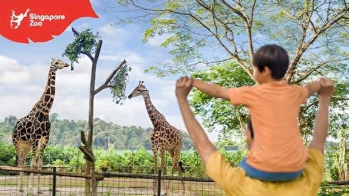 新加坡動物園門票(含電車)