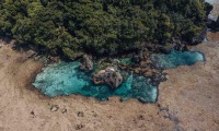 錫亞高島超值陸地之旅