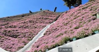 金馬侖高原植物園門票