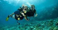 科莫多島Dragon Dive拉布安巴佐出發全日潛水之旅