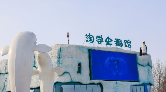 哈爾濱極地公園·極地館6大場地門票＋哈爾濱極地公園·海洋館5大場地門票＋哈爾濱極地公園·異寵館門票＋哈爾濱極地公園·淘學企鵝館門票成人票