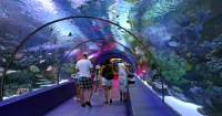 安塔利亞水族館和蠟像館門票