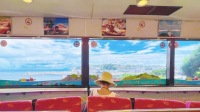 伊豆一日遊：免費觀海列車+城琦海岸，打卡《你的名字》取景地