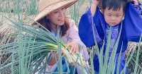 宜蘭：農夫青蔥體驗農場 - 三星蔥農體驗半日遊