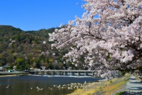 【大阪/京都每日出發】京都伏見稻荷千本鳥居＆嵐山竹林渡月橋＆金閣寺奈良公園東大寺(可升級神户牛等午餐)
