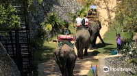 『優選特惠』芭堤雅野生大象樂園【酒店接送|超多項目可選】