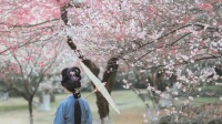 巢湖旅拍【約拍跟拍航拍隨行隨拍攝影攝像 +多語言翻譯本地攝影師】