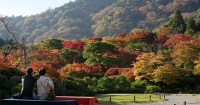 京都嵐山竹林與渡月橋半日小團遊