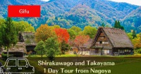 白川鄉世界遺產 & 高山徒步私人遊（名古屋出發）