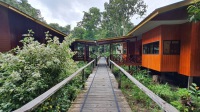 3日2夜探索京那巴當岸河之旅，入住山打根比力探險小屋