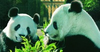 維也納美泉宮動物園門票（含免排隊門票）