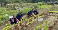 清邁農場生活體驗：從產地到餐桌
