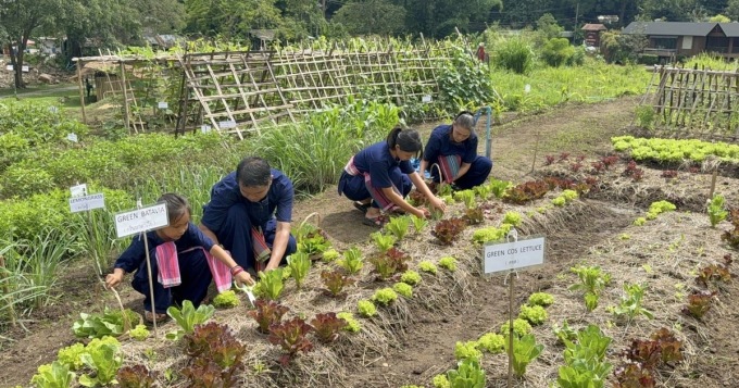 清邁農場生活體驗：從產地到餐桌