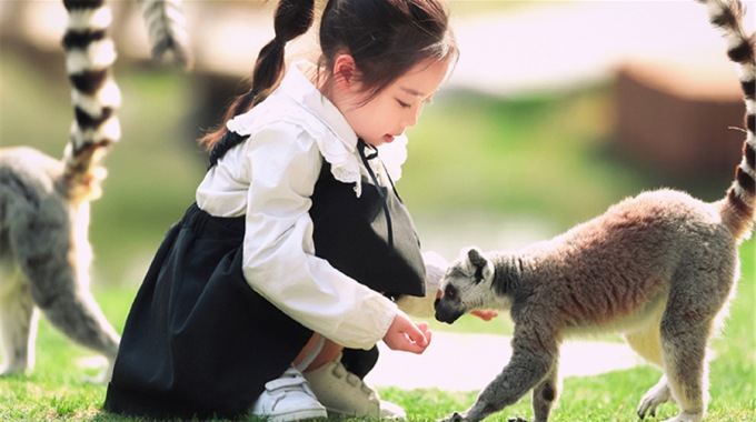 南通森林野生動物園門票（含遊樂園暢玩+大馬戲+動物科普秀）【可進冰雪海洋樂園】成人