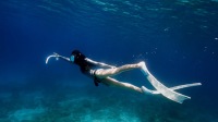 日本沖繩慶良間那霸出發三定點浮潛‧體驗/FUN潛水